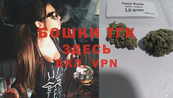 твердый Абаза